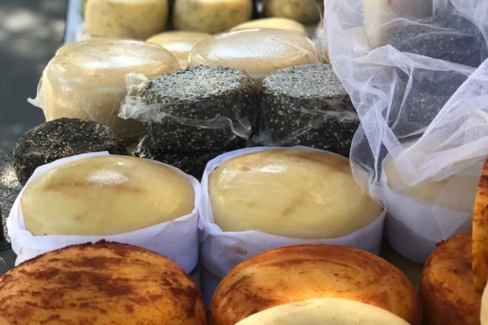 Que Queijo