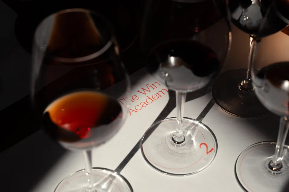 Maîtrisez l'art de la dégustation de vin à Porto