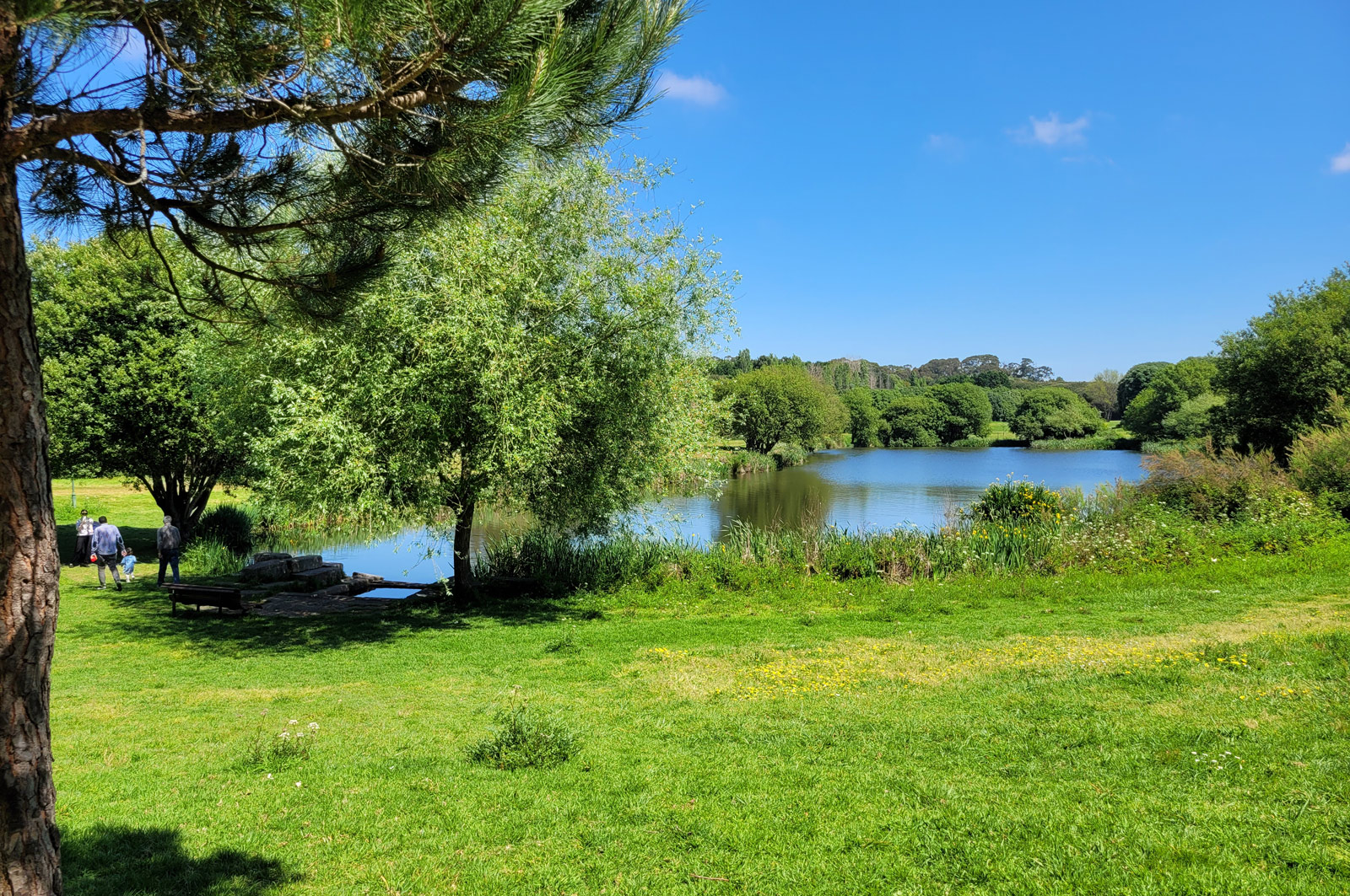 Parc municipal de Porto